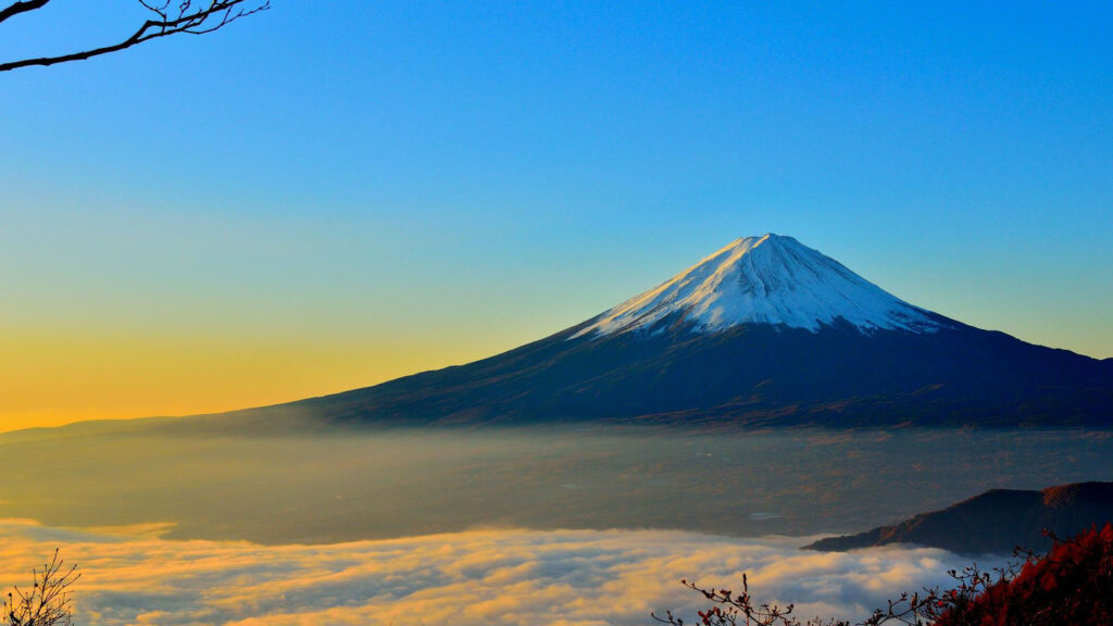 緑の長財布は国産（日本製）しかだめ？